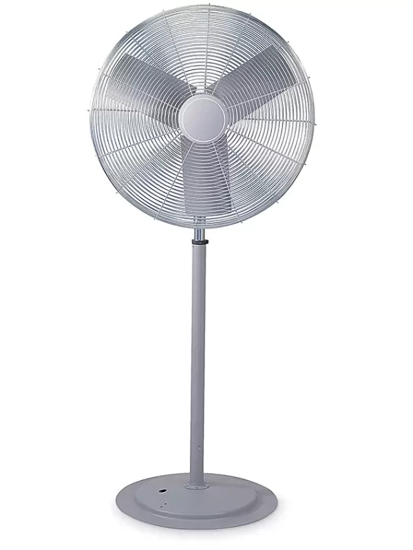 Pedestal Fans