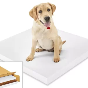 Soft Foam