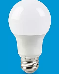 LED Screw-In Light Bulbs