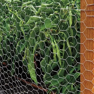 Chicken Wire
