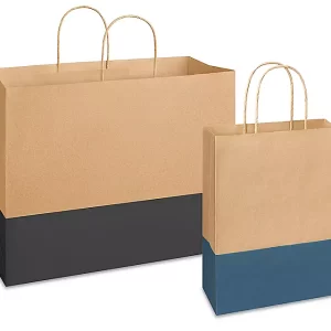 Trendy Paper Shopping Bags
