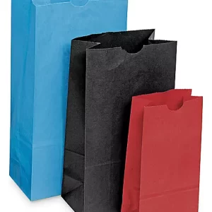 Colored Lunch Bags
