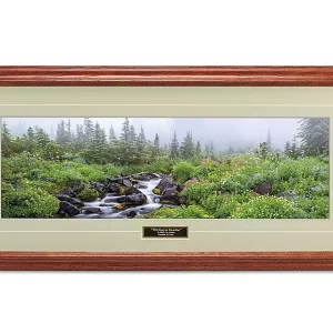 Morning in Paradise Print