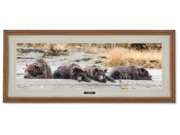 Family Nap Time Print