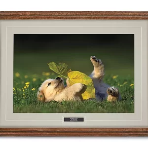 Golden Days Print