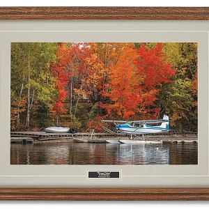 Flying Colors Print