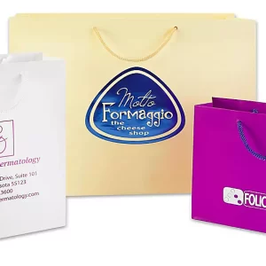 Custom Printed Hot Stamp Matte Laminate Shopping Bags
