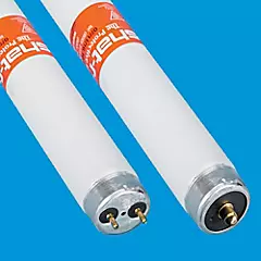 Shatter Resistant Light Bulbs
