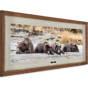 Family Nap Time Print