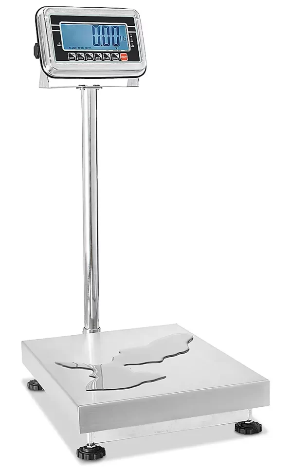 Pactek Washdown Platform Scales