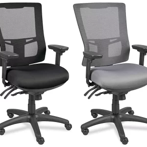 Ergo Mesh Chair