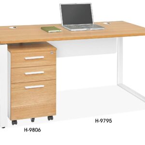 Designer Office Desks