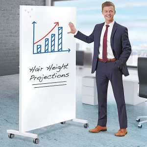 Glass Dry Erase Partition