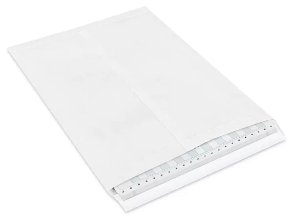 Self-Seal Ship-Lite® Envelopes