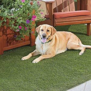 Artificial Grass Mats