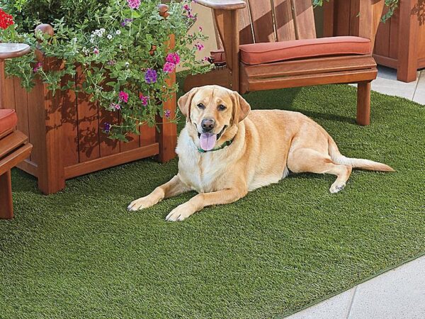 Artificial Grass Mats