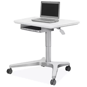 Sit/Stand Mobile Desk