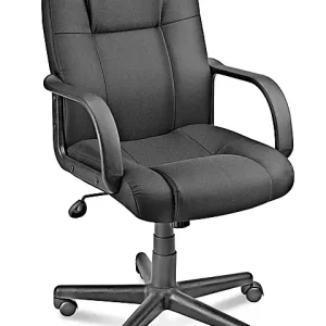 Fabric Manager's Chair