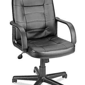Leather Manager's Chair