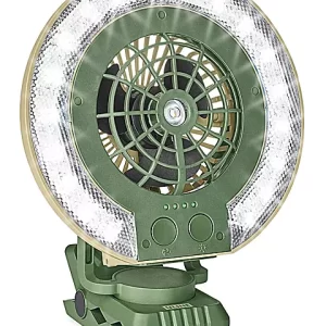 Lighted Fan