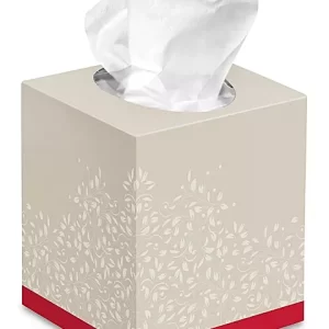 Pactek Deluxe Boutique Facial Tissue
