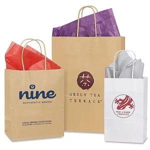 Custom Ink Printed Paper Shopping Bags