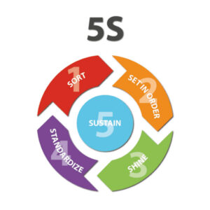 5S Logo Poster