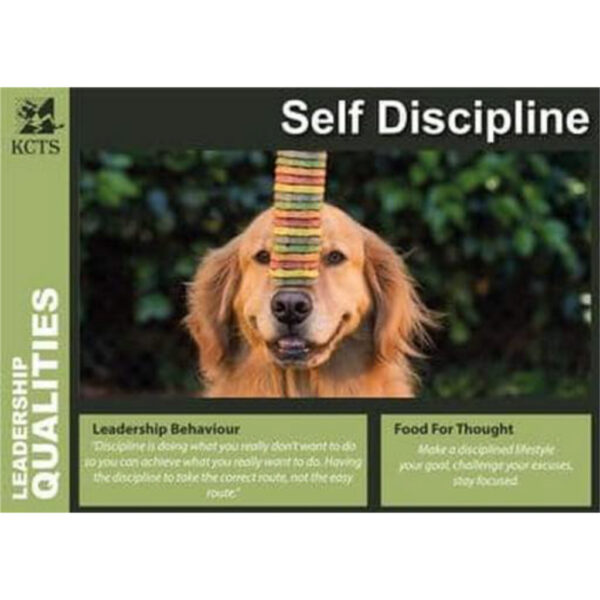 Leadership Qualities Posters