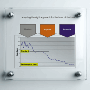 Levels of the losses Poster