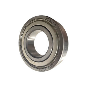 bearing SKF 6006 2z c3