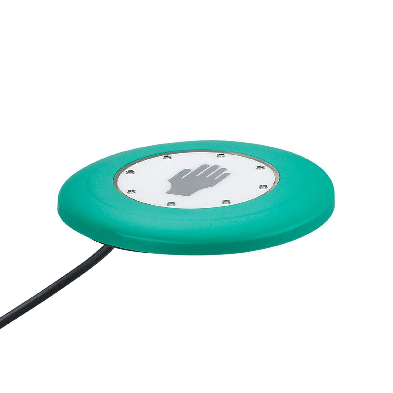 KT5009 IFM – KTRDHMKGRBPKG/AM/2M